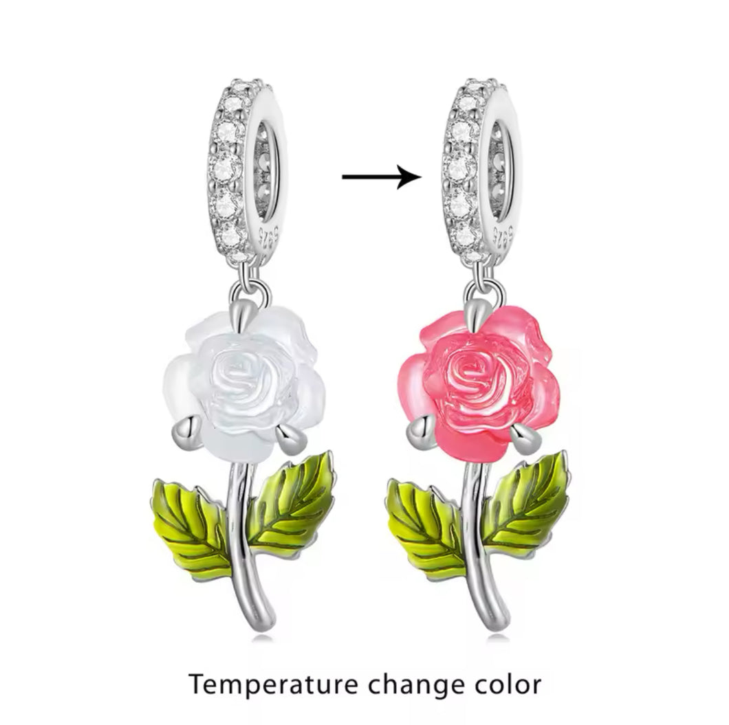 Rose hanging