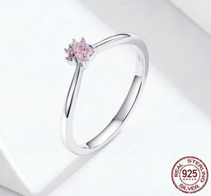 Anillo mascota