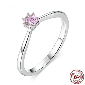 Anillo mascota