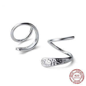 Silver  spring earrings