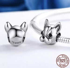 Charm bulldog