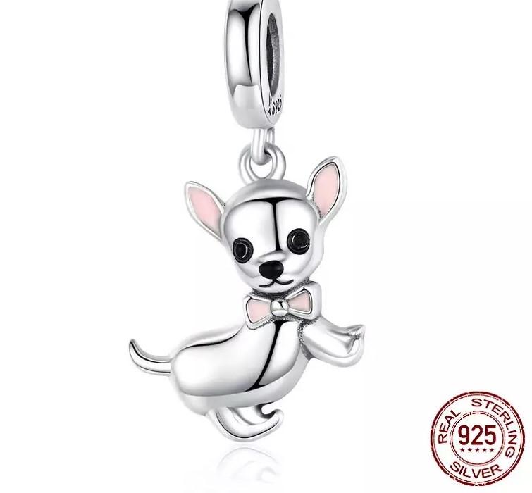 Perrito Chihuahua